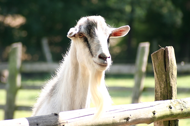 Killikus&reg; Fotographie